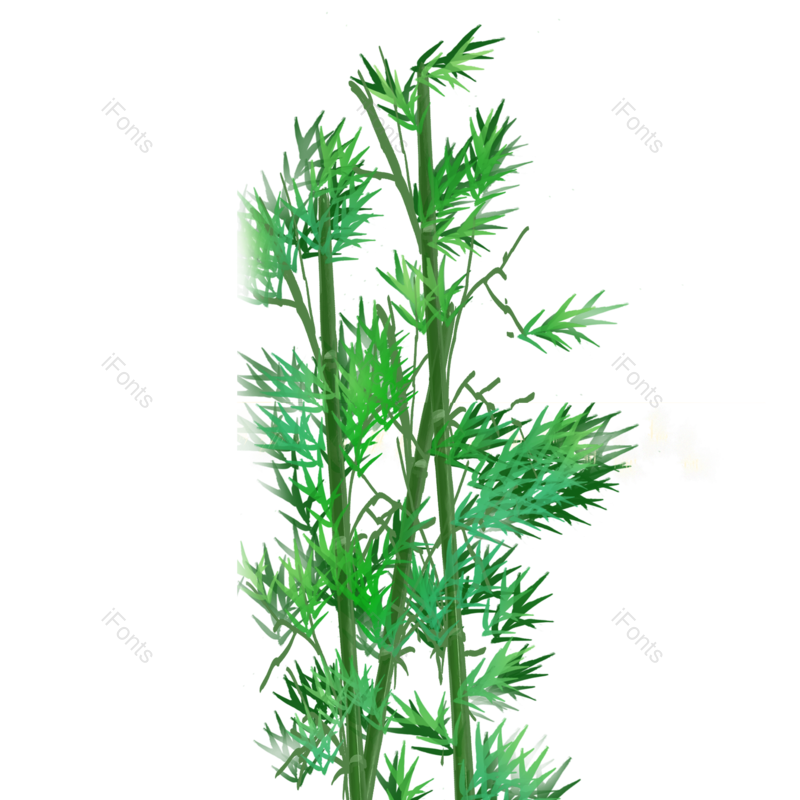 叶子图片,绿叶元素,绿植PNG,植物免抠素材